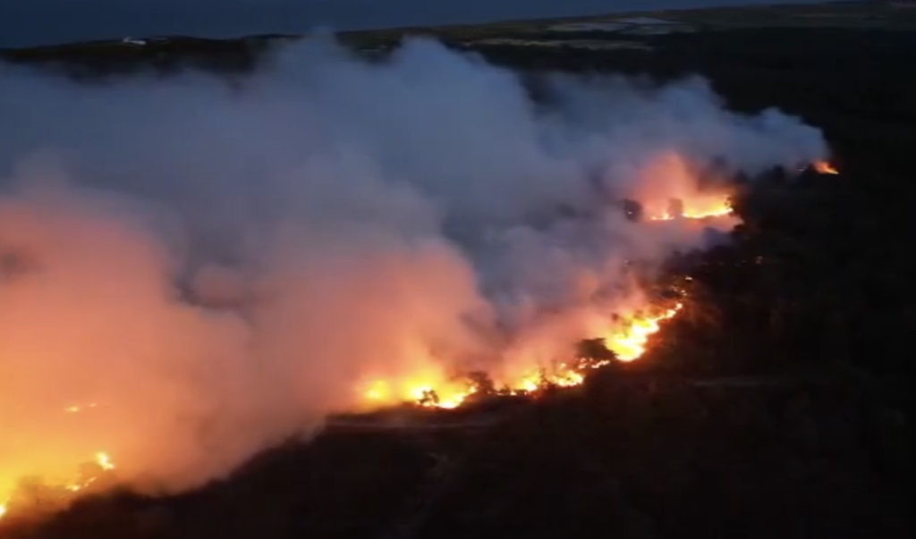 Wiltshire Firefighters Deployed to Help Battle Major Suffolk Wildfire