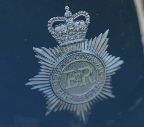 Elderly Man Suffers Potentially Life-Threatening Head Injury After Being Knocked Over by Dog in Plymouth