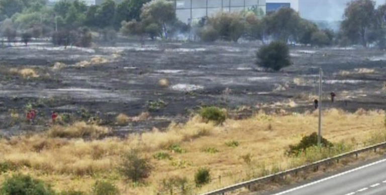 Huge Grass Fire Sparks Travel Chaos as Trains to Liverpool Street Halted and M25 Engulfed in Smoke