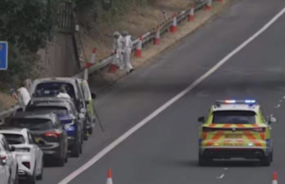 Human Remains Found Near M67 Confirmed to Be Young Man