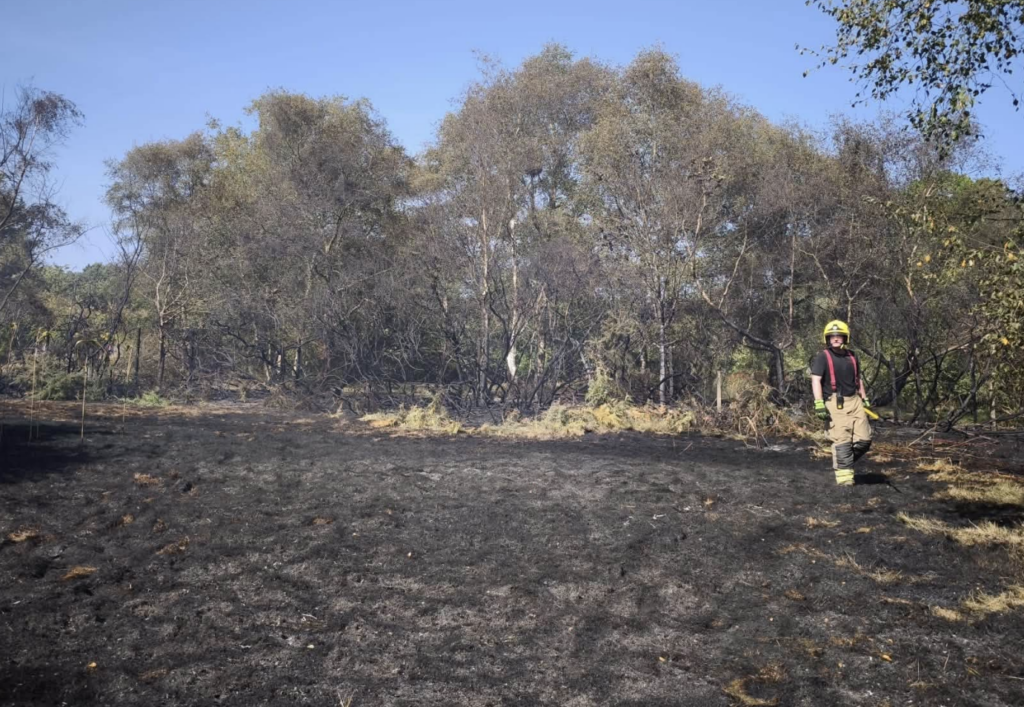 Six acres scorched as major fire spreads through gardens and field near Lyme Regis