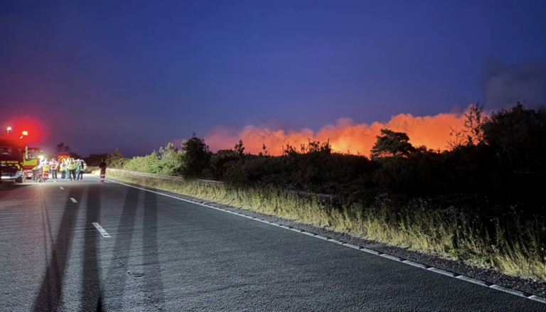 A31 to remain closed ‘for foreseeable future’ after lorry fire spreads to New Forest heathland