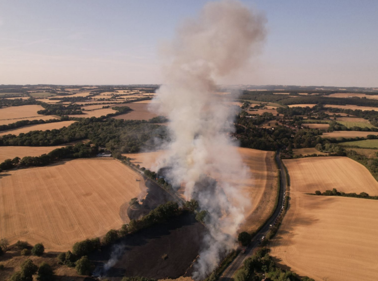 Newbury Road closed between Andover and Enham as firefighters tackle fast-spreading blaze