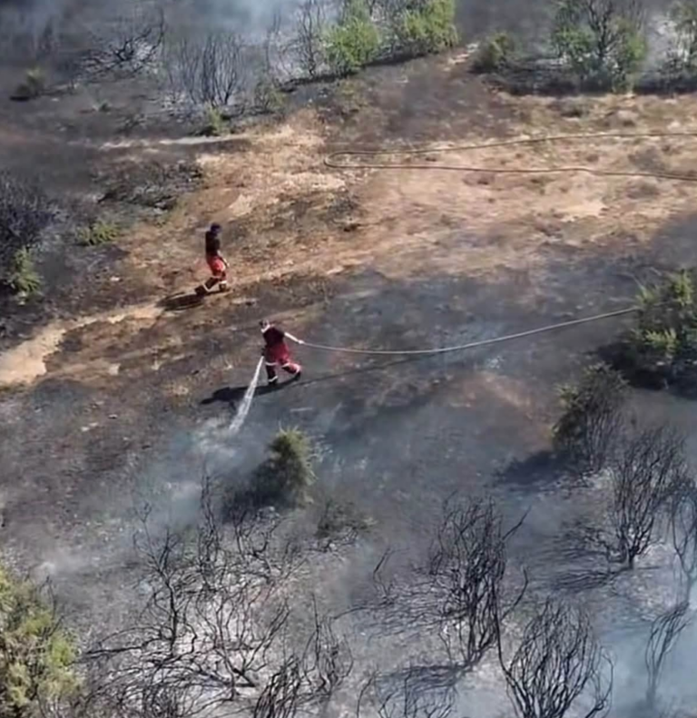 New Forest wildfire fully surrounded as crews warn public to stay away from fire ground