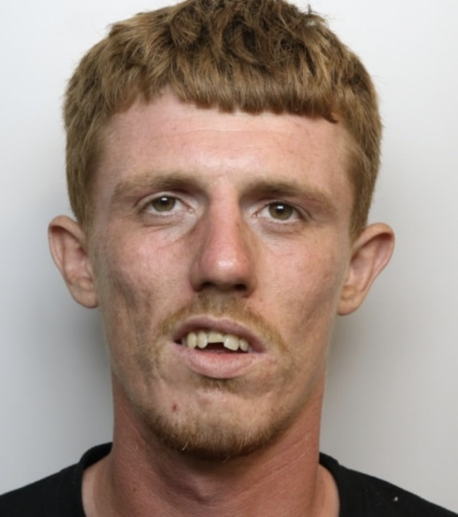 Dangerous Range Rover pursuit through Swindon ends with driver arrested at Taser point