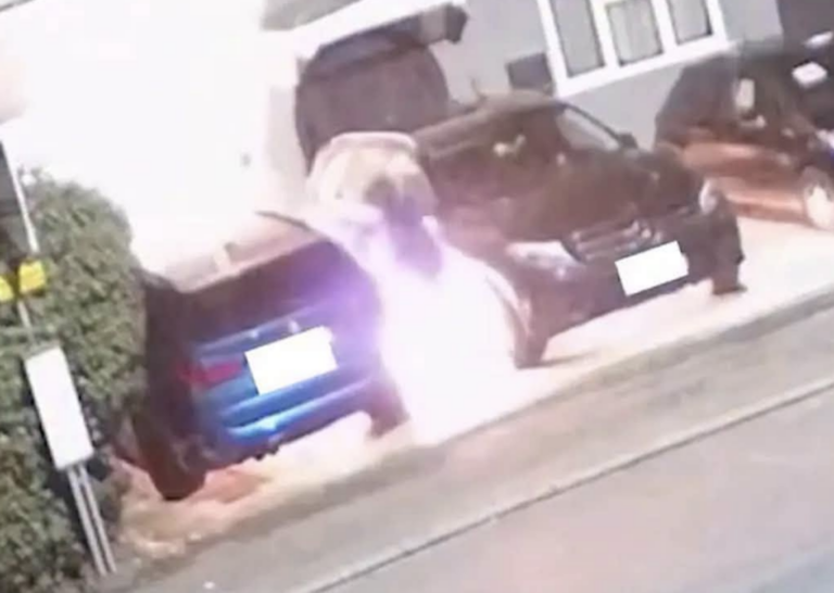 Arsonist set his own hand on fire, torching family’s cars before 100mph police chase