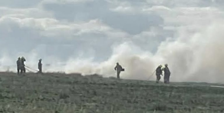 Residents warned to keep windows and doors shut as firefighters tackle Margate field blaze