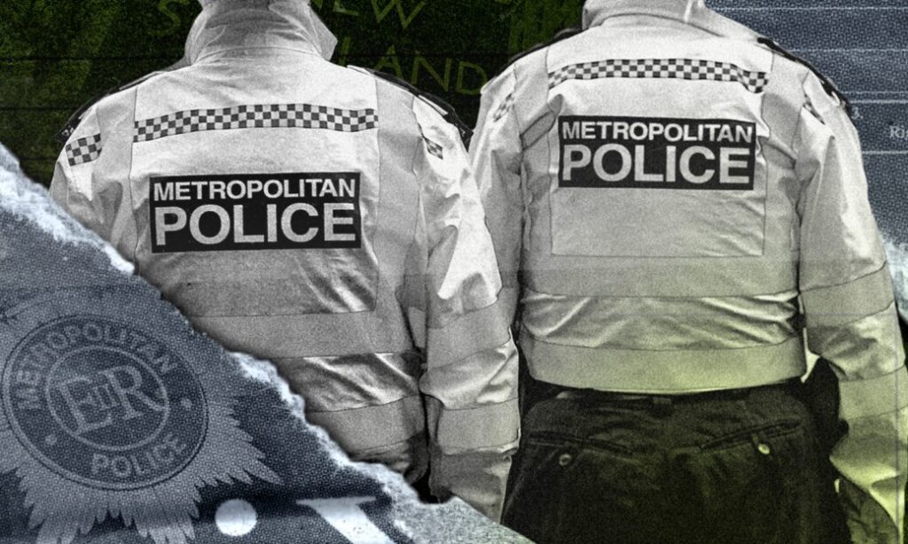 Met officer and former colleague appear in court charged with assault after Southall arrest