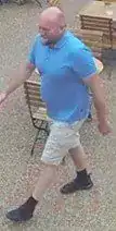 Cctv Released After Disturbance In West Malling