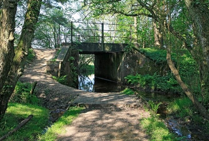 Hampshire County Council Considers Future Of Holmsley Bridge In The New Forest