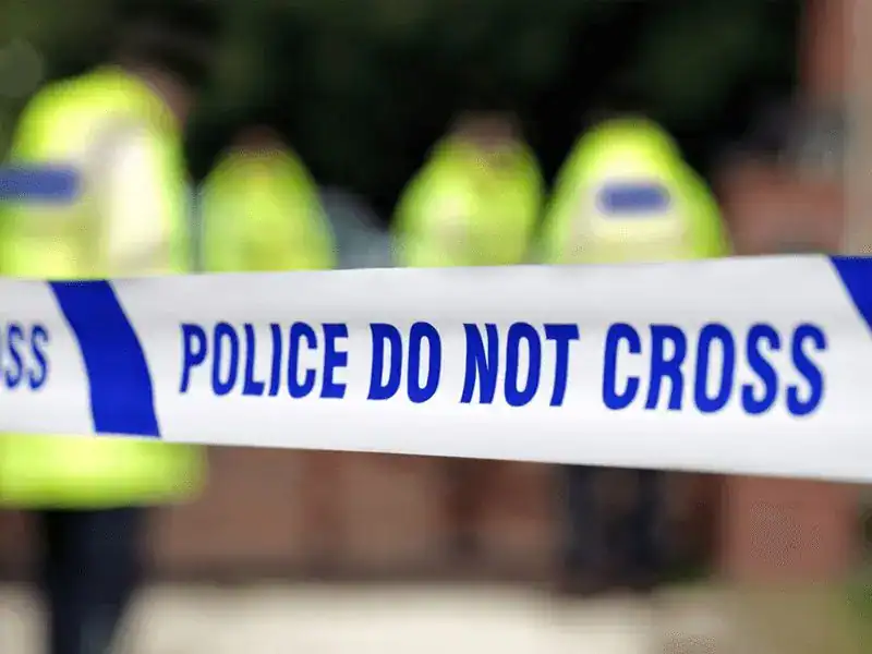 A Woman Has Been Charged With Firearms Offences After An Investigation By The Organised Crime Partnership (ocp)