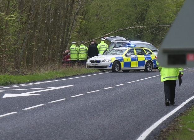 Woman Dies In  Fatal Collision After Hitting Deer Near  Micheldever