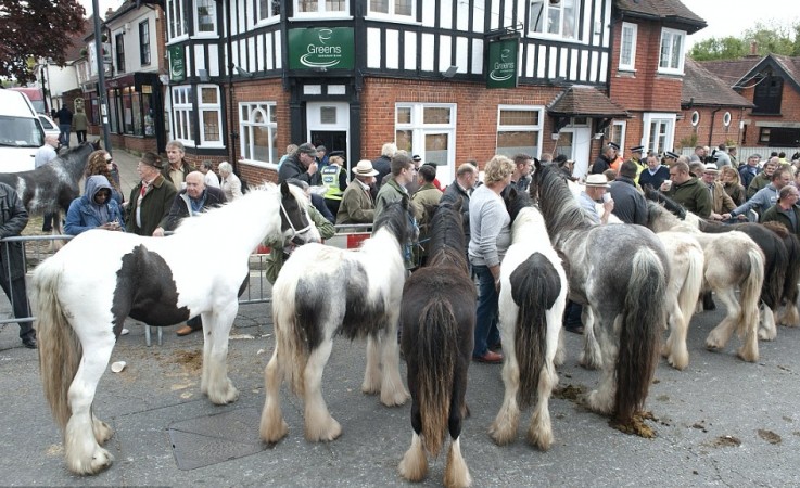 Police Warn Of Possible Traffic Disruption In Wickham During Horse Fair
