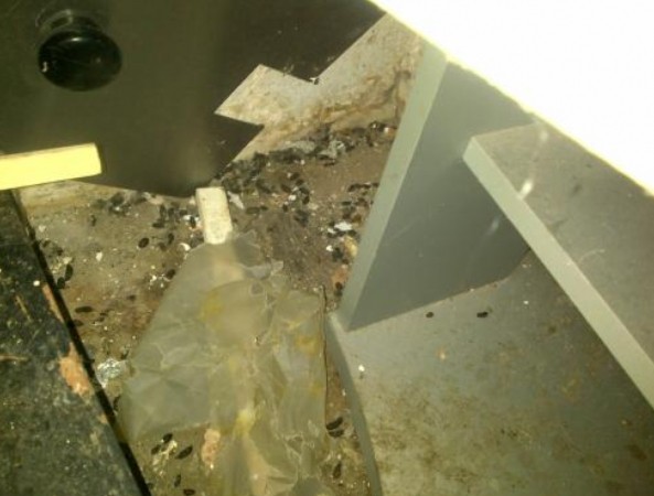 Rat Dropping Sees Two  Eateries In Southsea Fined  Thousands