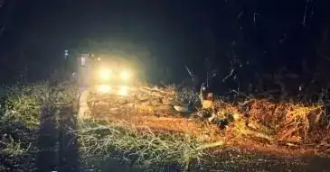 Road Closed After High Winds Blow Over Tree And Rip Down Telephone Wires