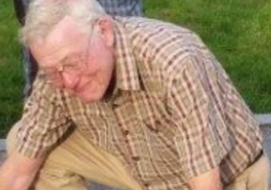 Vile Street Robber Attacked Blind Pensioner In Southampton