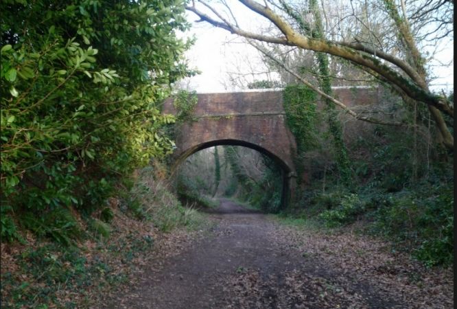 Woman Assaulted On Cycle Track In  Shanklin