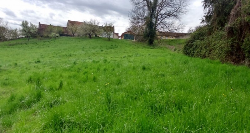 Police Hunt Flasher  Who Exposed Himself To Young Girl In Emsworth