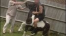 Horse Abuse Captured On Video Leads To Horse Being Taken By Authorities