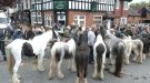 Police Warn Of Possible Traffic Disruption In Wickham During Horse Fair