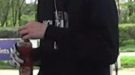 Police Want To Trace Potential Key Witness To Serious A35 Collision