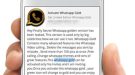 Whatsapp Users Are Being Tricked By Fraudsters Into Downloading A Fake Version Of Whatsapp