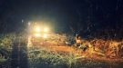 Road Closed After High Winds Blow Over Tree And Rip Down Telephone Wires